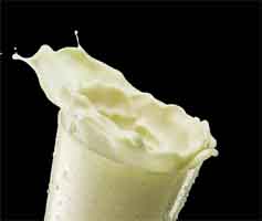nutribody protein