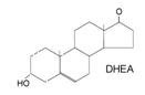 DHEA