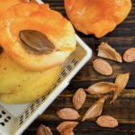 Apricot Pits Cancer