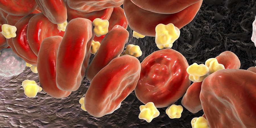 Naturally Manage Cholesterol levels