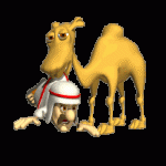 Camel Image