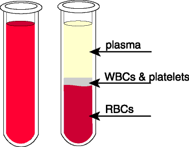 blood components