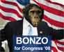 bonzo