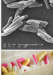 Tuberculosis pills