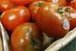 Tomatoes, Salmonella, Sewage
