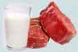 Meat Dairy Prostate Cancer