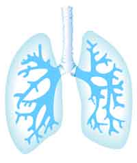 lung health and function