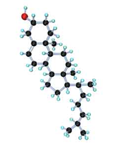 cholesterol molecule