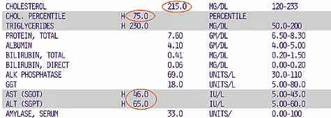 liver enzymes