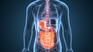 Digestive System Natural Remedies