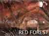 red-forest.jpg