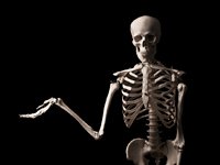 skeleton-welcome.jpg