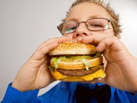 Fast Food Consumption Statistics