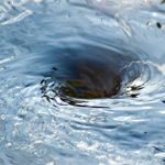 hypnotic-whirlpool.jpg
