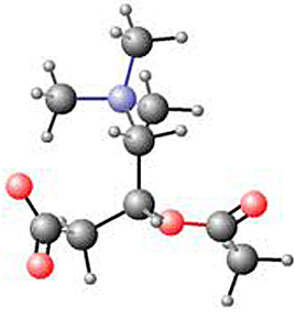 acetyl l carnitine molecule