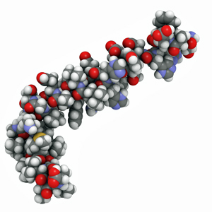 beta amyloid molecule