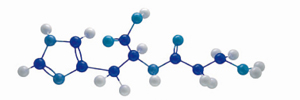 carnosine molecule