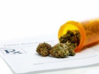 Medical Marijuana, Pet Health