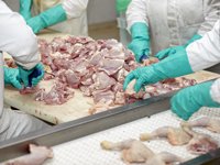 Less Poultry Inspection Could Compromise a Healthy Immune System