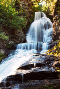 waterfall in nature