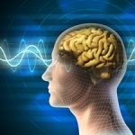 carnosine and your brain