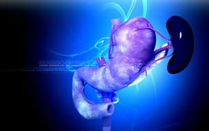 pancreas provides correct enzymes