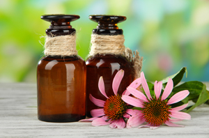 echinacea and immunity