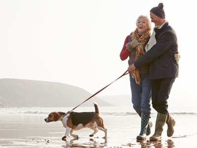 Dog walking to Lose Weight | Weight Loss Blog