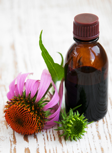 echinacea tincture