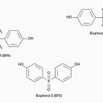 BPA Safety & BPS, BPF | Natural Health Newsletter
