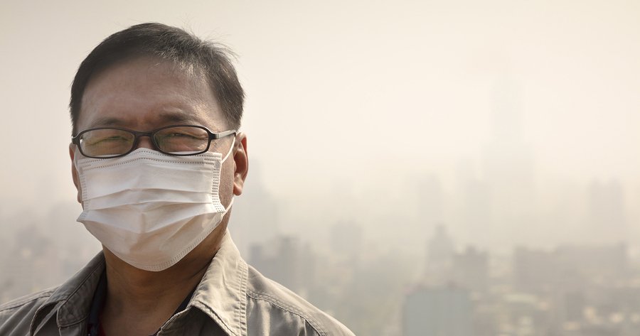 Air Pollution Linked to Weight Gain | Natural Health Blog