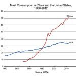 Lab Grown Meat | Health Blog