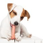 Sounds of Chewing Cut Portion Sizes | Health Blog