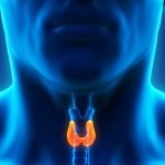 Flame Retardants Cause Thyroid Disease | Natural Health Blog