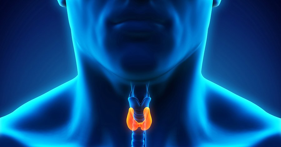 Flame Retardants Cause Thyroid Disease | Natural Health Blog