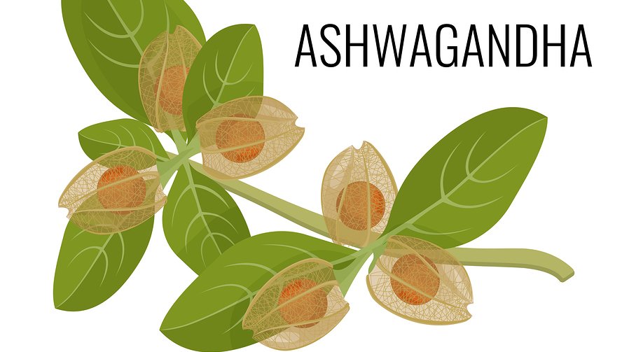 Ashwangandha Health Benefits