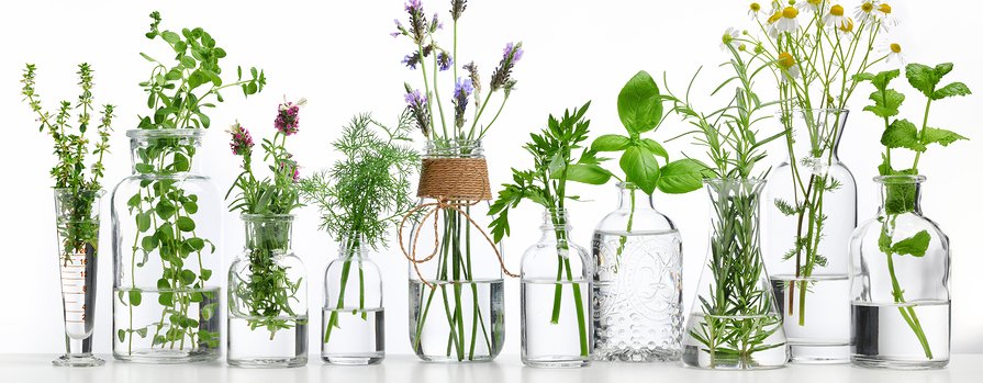 More Herbs, Less Salt Day | Natural Health Blog