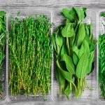 Parsley, sage, rosemary, and thyme health benefits