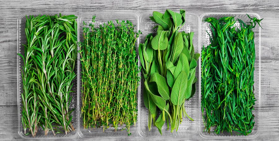Parsley, sage, rosemary, and thyme health benefits