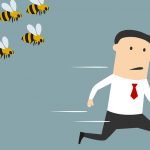 Home Remedies For Bee Stings