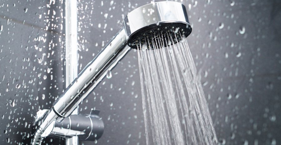 Harmful Bacteria in Shower