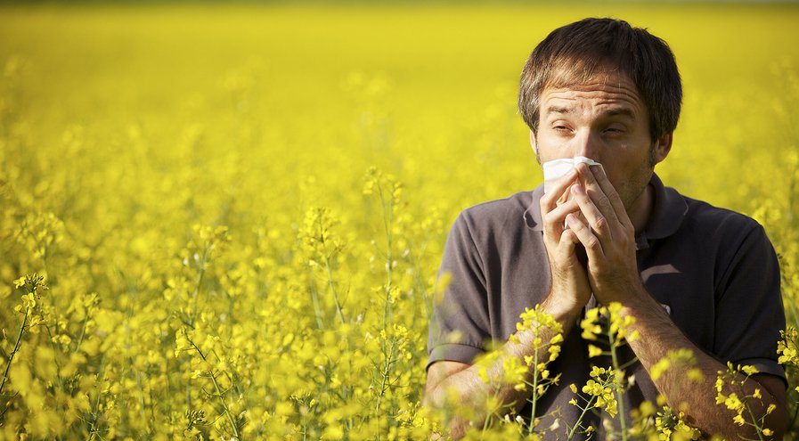 Springtime Allergies on the Rise