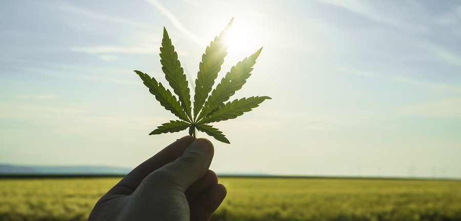 Can Marijuana Make You Go Crazy?