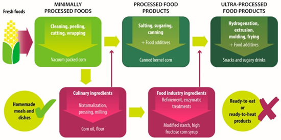 types-of-foods