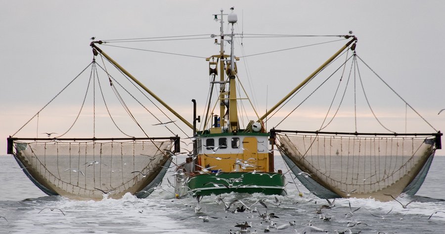Mercury Levels in Fish Continue to Rise