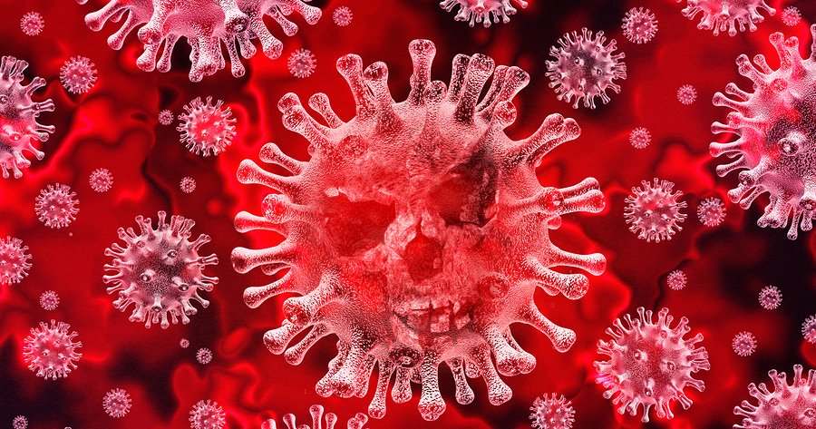 More than Everything You Ever Wanted to Know about the New Coronavirus